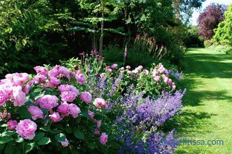 Englischer Garten - zehn Grundprinzipien seiner Anordnung