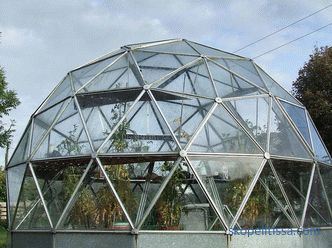Das Glasgewächshaus an der Datscha, die Arten der Glasgewächshäuser und die Kriterien für ihre Auswahl