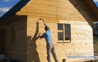 wie man ein Holzhaus draußen malt