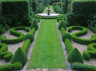 Fotos und grundlegende Empfehlungen für die Erstellung eines schönen Gartens