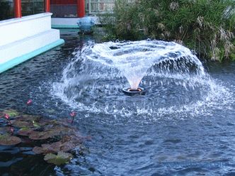 Brunnen für einen Teich auf dem Land, den man für einen dekorativen Gartenteich in Moskau aussuchen und kaufen kann