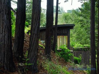 Zwei Mini-Cottages als Erweiterung des Hauses in Mill Valley, Kalifornien