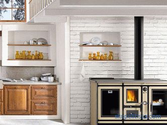 Ofen zum Heizen eines Hauses mit Wasserheizung, Holzverbrennung, Installation, Vorteile, Fotos