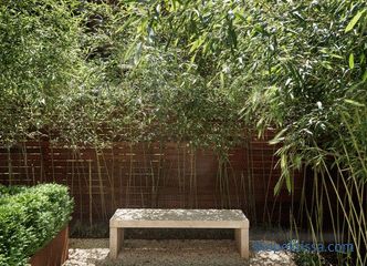 Garten im Stil des Minimalismus, die Prinzipien und Ideen der Schaffung einer minimalistischen Landschaft, fotostilvolle Lösungen