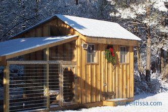 Warmer Hühnerstall für den Winter, welche Art von Gebäude zu wählen, was beim Bauen zu beachten ist