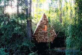 Vogelhaus in einem kanadischen Wald - beherbergt zwei Personen und 12 Vögel
